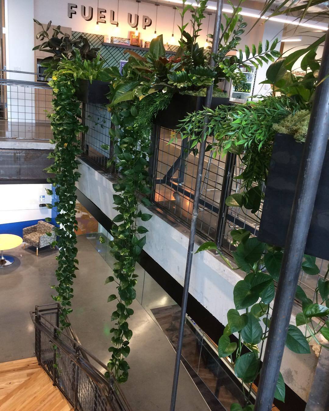 Shiraz Iran Travel Experience