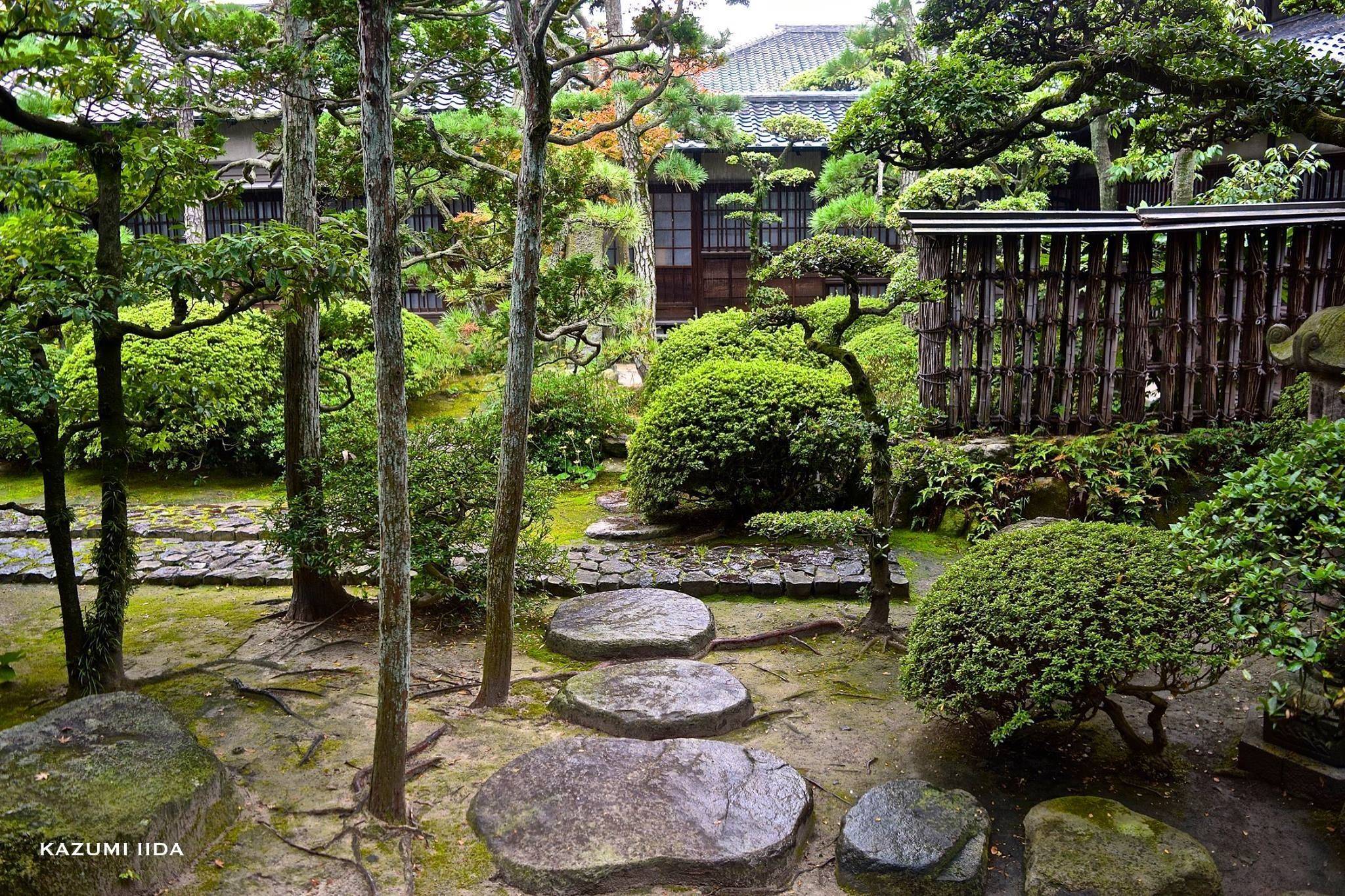 Shiraz Iran Travel Experience