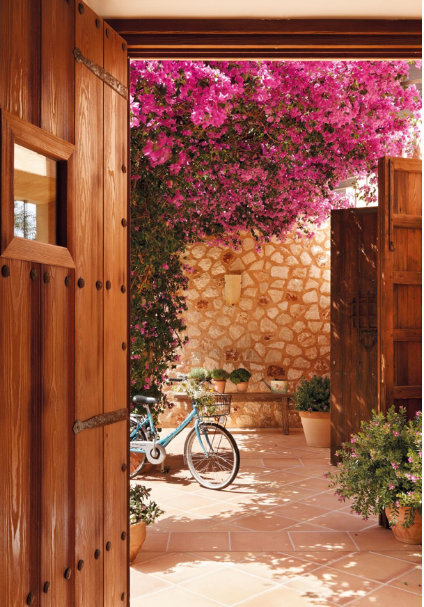 Pin On Succulents Cactus And Airplants