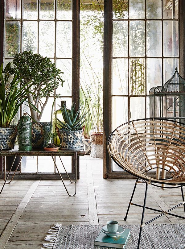 Stairwell Dreams Plants