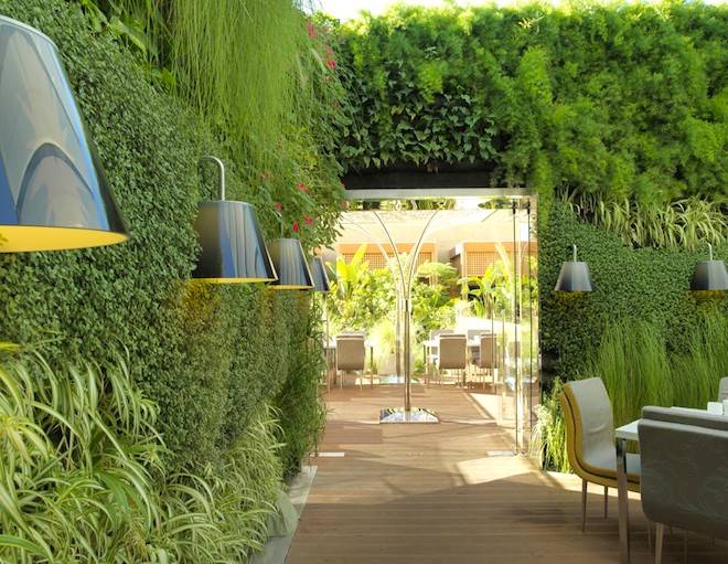 Garden Design Ideas