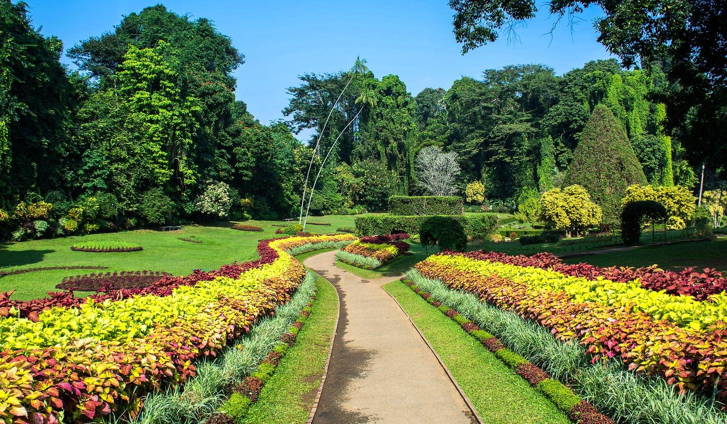 Peradeniya Botanical Garden