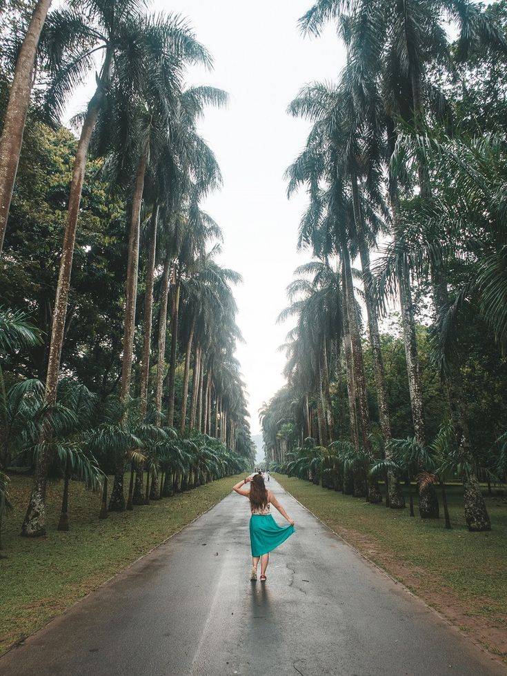 Royal Botanical Garden