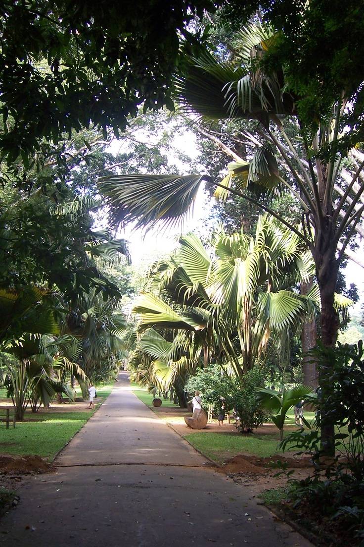 Kandy Beautiful Gardens