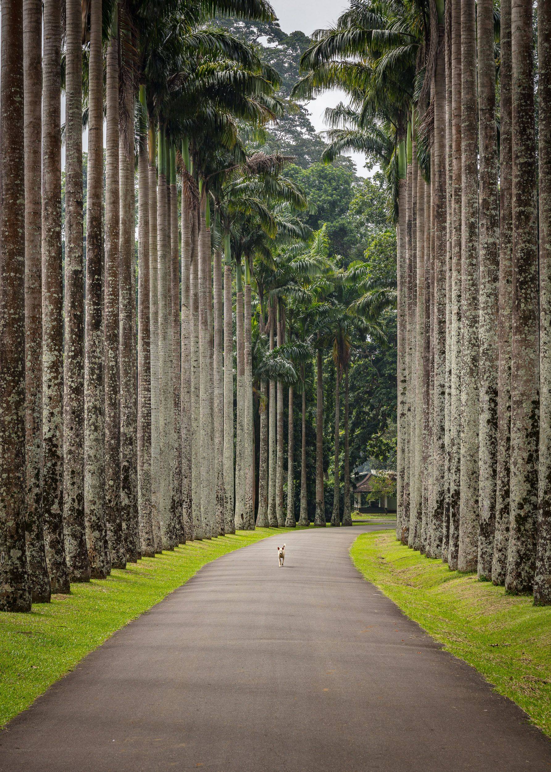 Africa Travel Resource