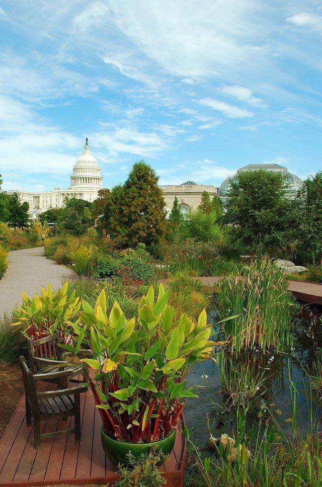These Botanical Gardens Washington State Parks
