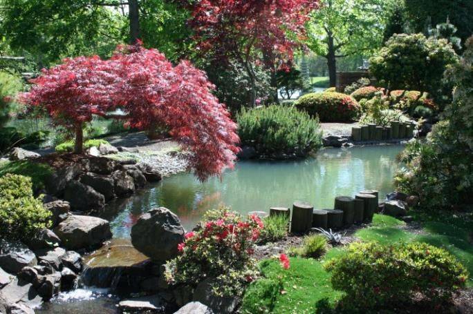 Japanese Botanical Garden