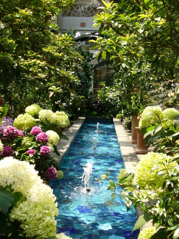 Bellevue Botanical Garden Events