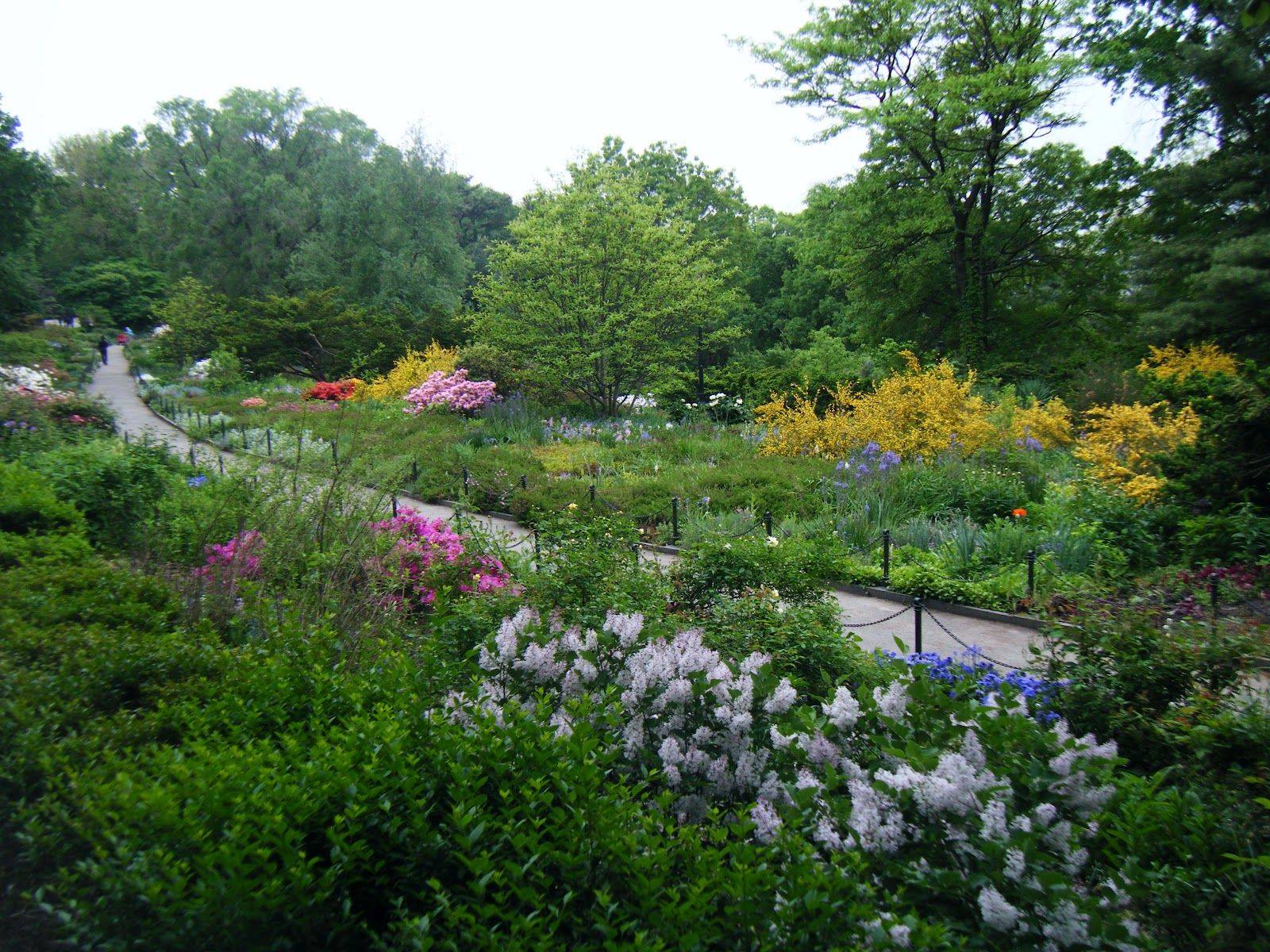 Seymour Botanical Conservatory