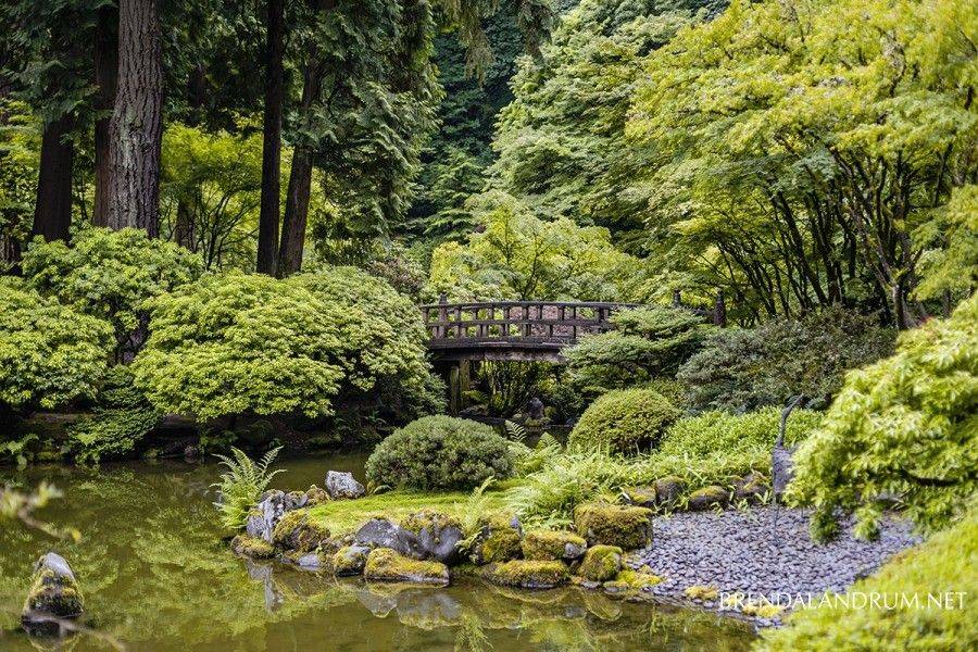 Washington Park Arboretum
