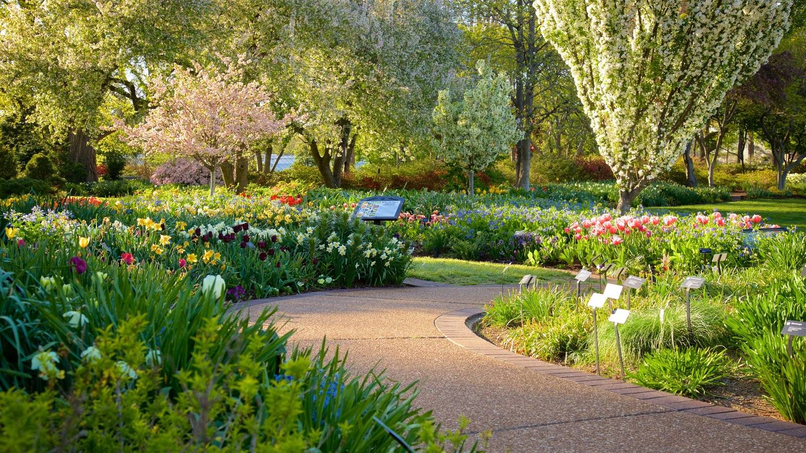 Washington Park Arboretum