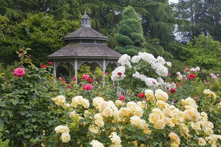 Washington Park Botanical Garden