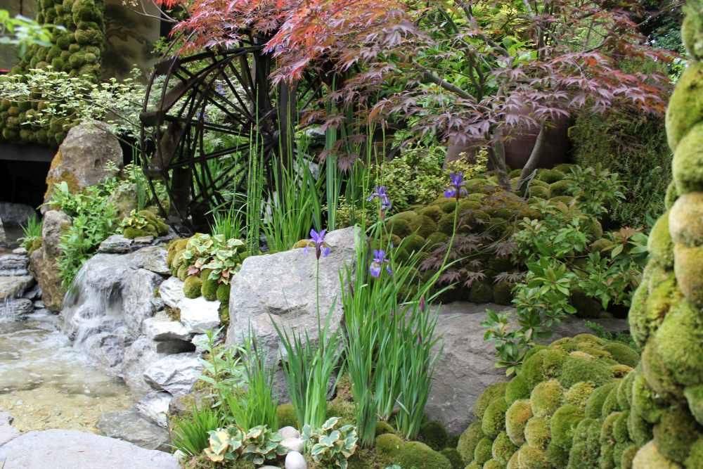 Backyard Garden Love