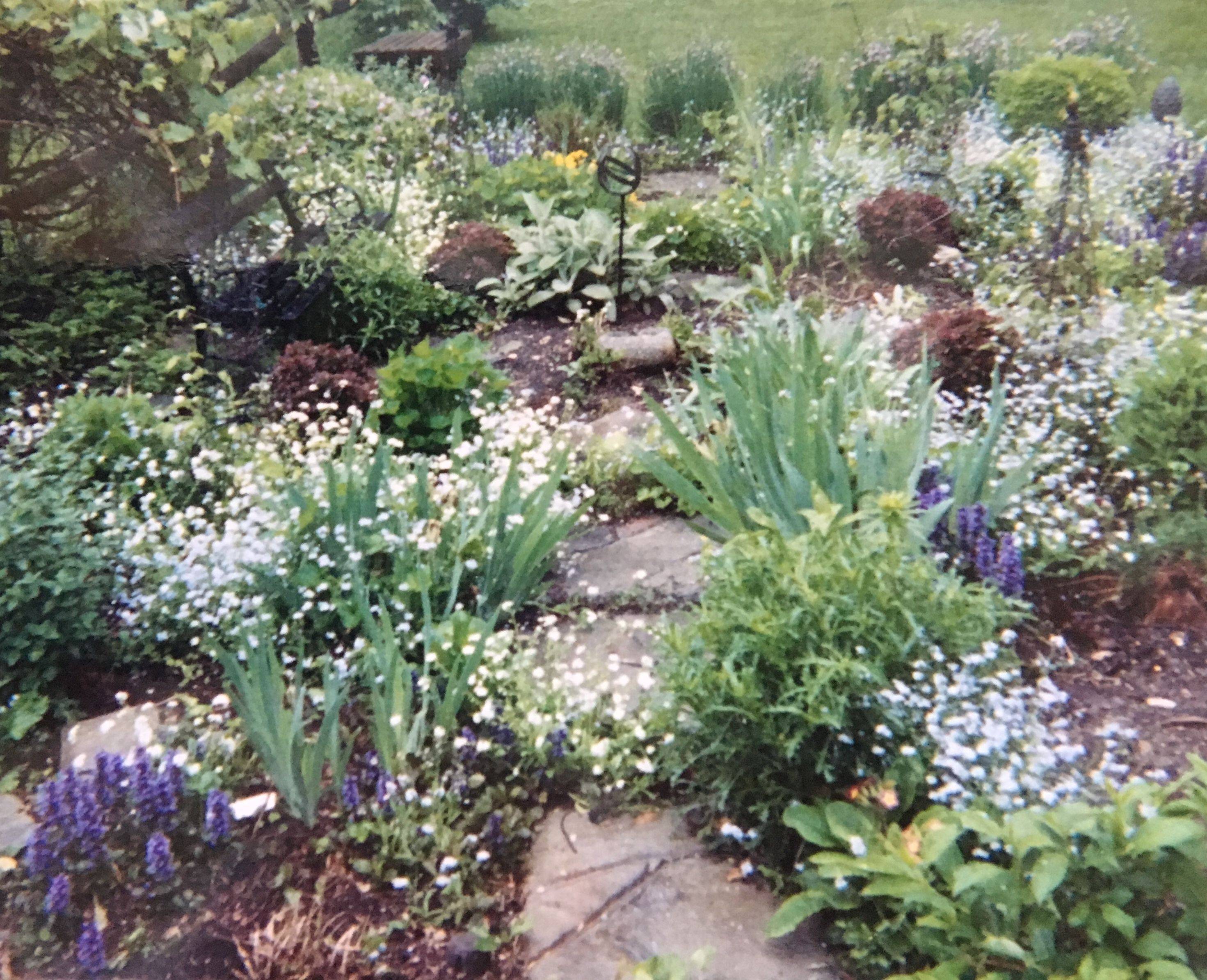 Backyard Garden Love