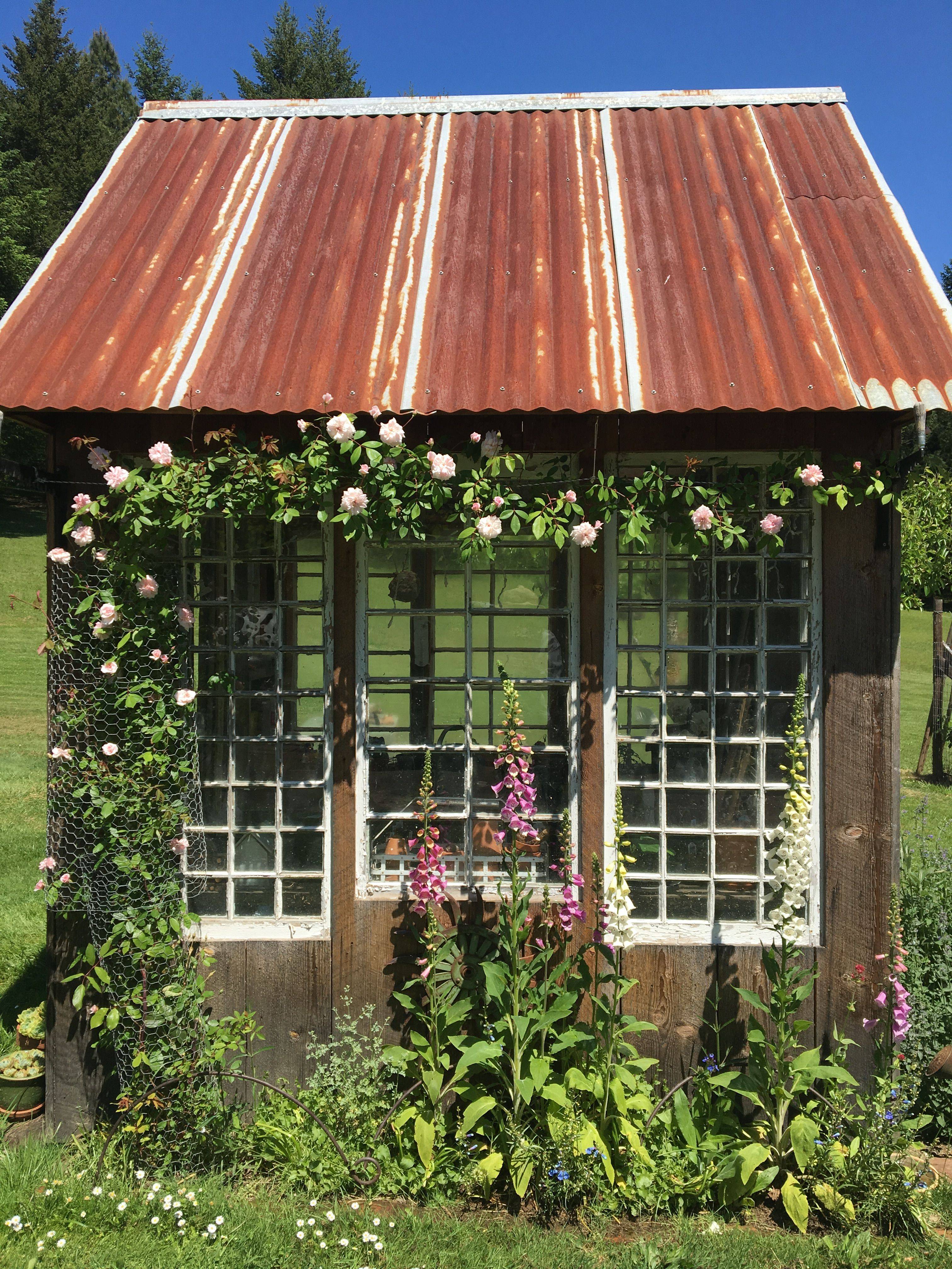 My Potting Shed