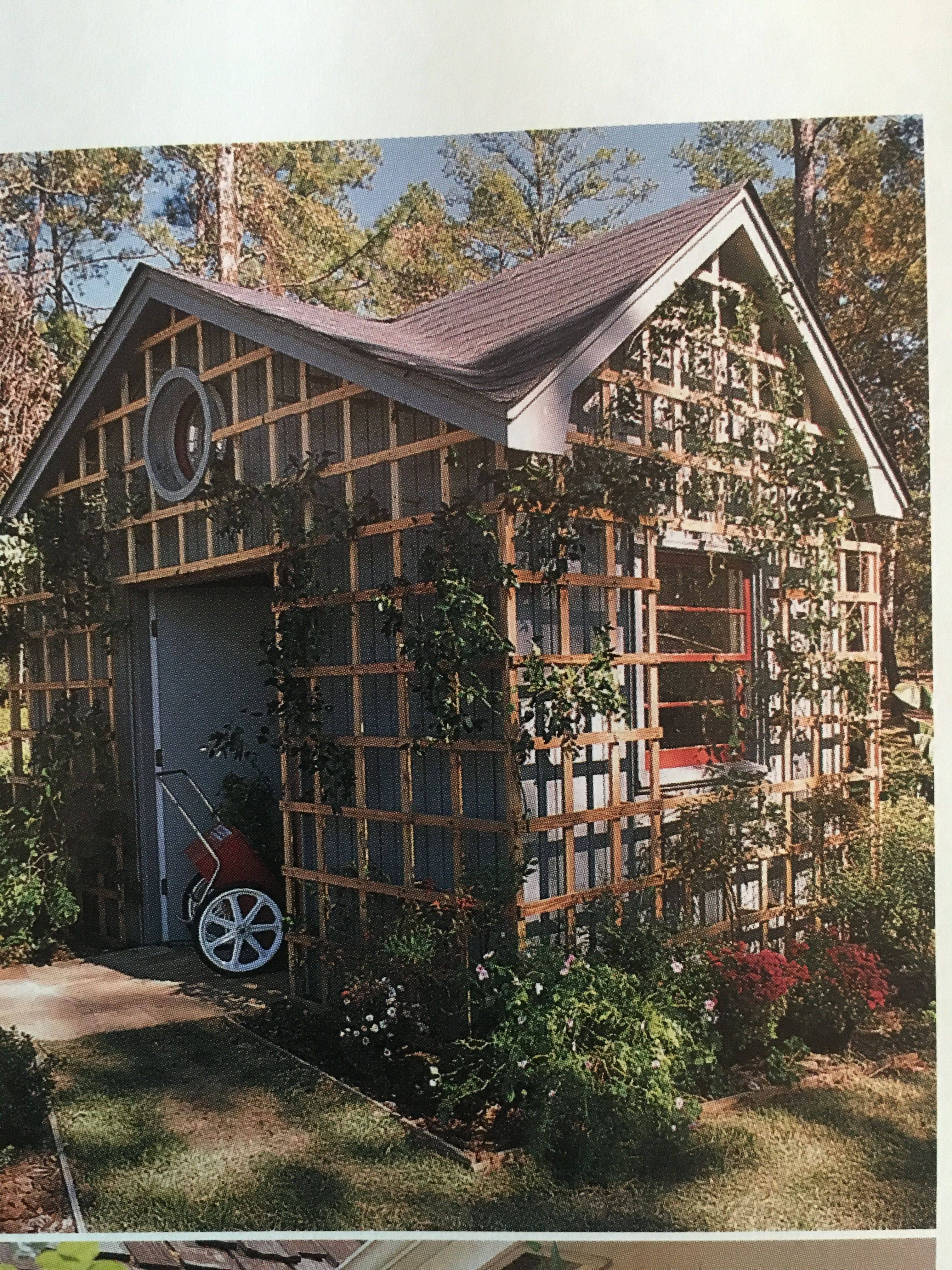 Astonishing Backyard Storage