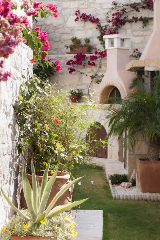 Modern Landscaping Mediterranean Garden Ideas