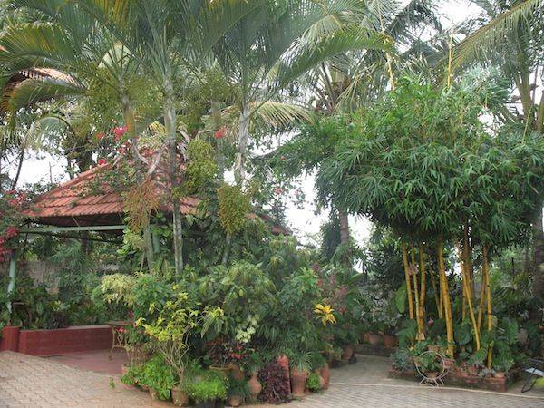 Dream Balcony Garden Bangalore