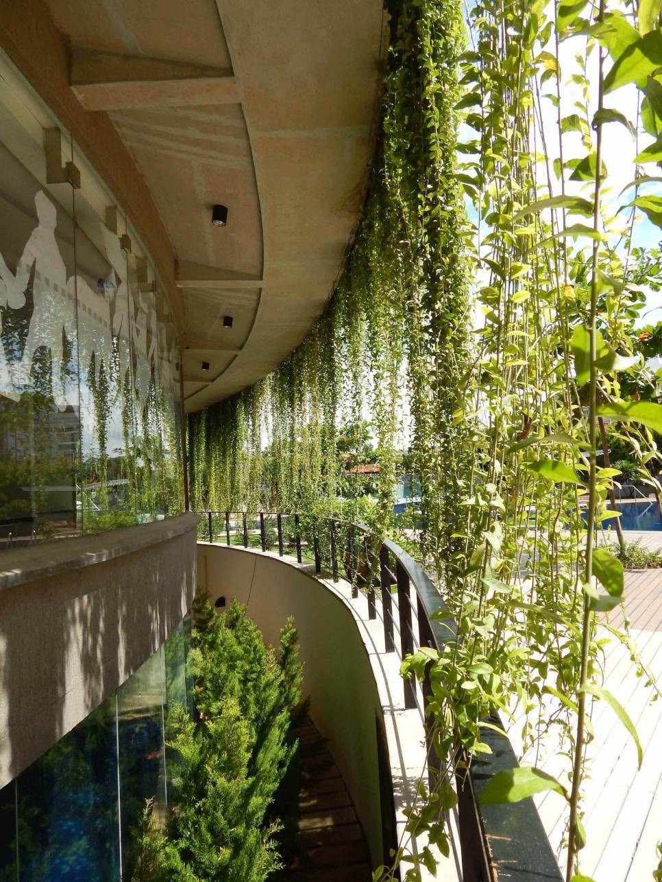 Just Beautiful Central Covered Courtyardgarden Bangalore