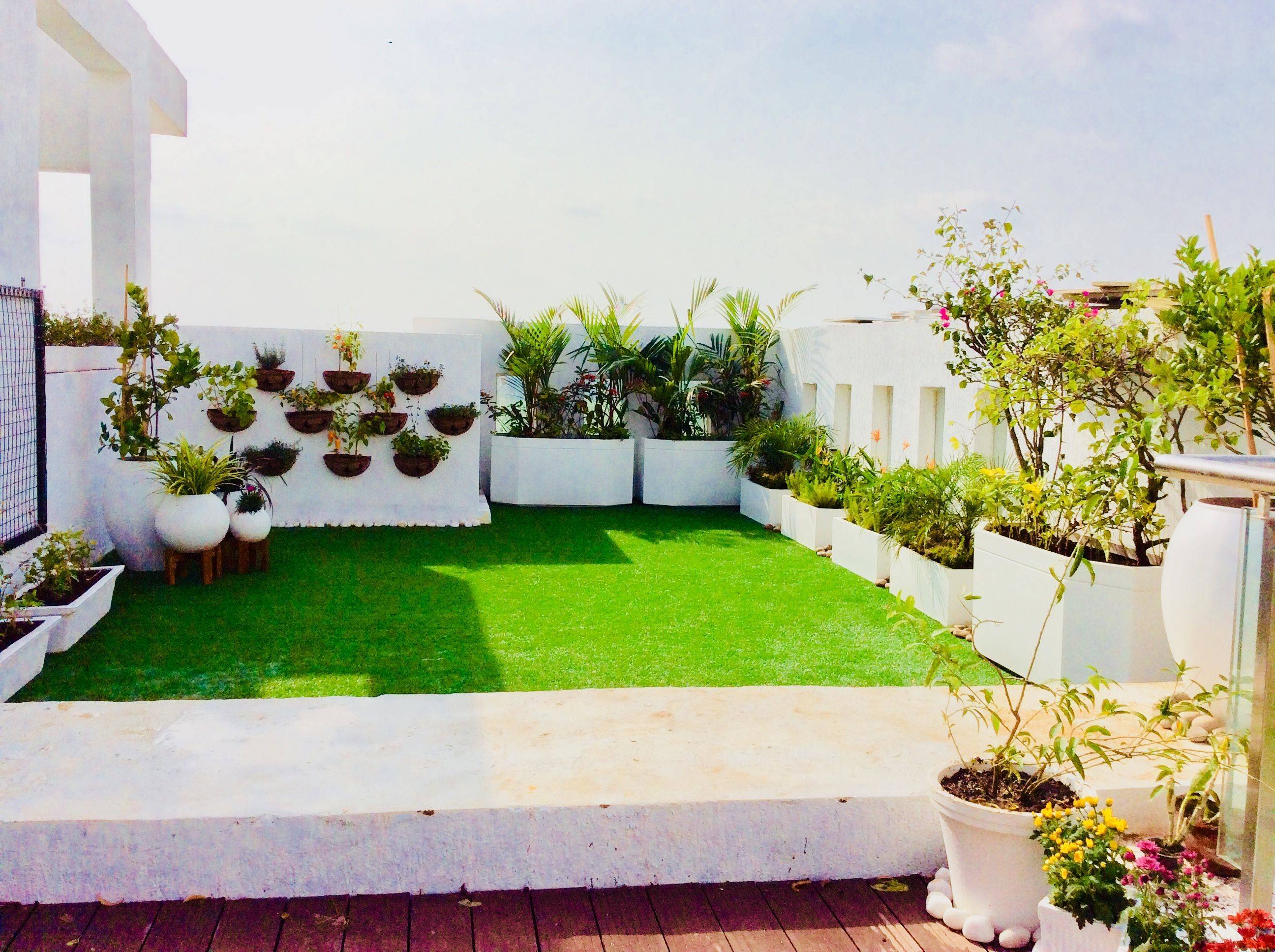 Terrace Garden Services Bangalore