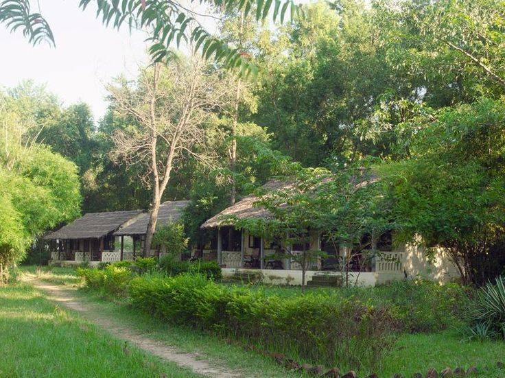 The Birth Place