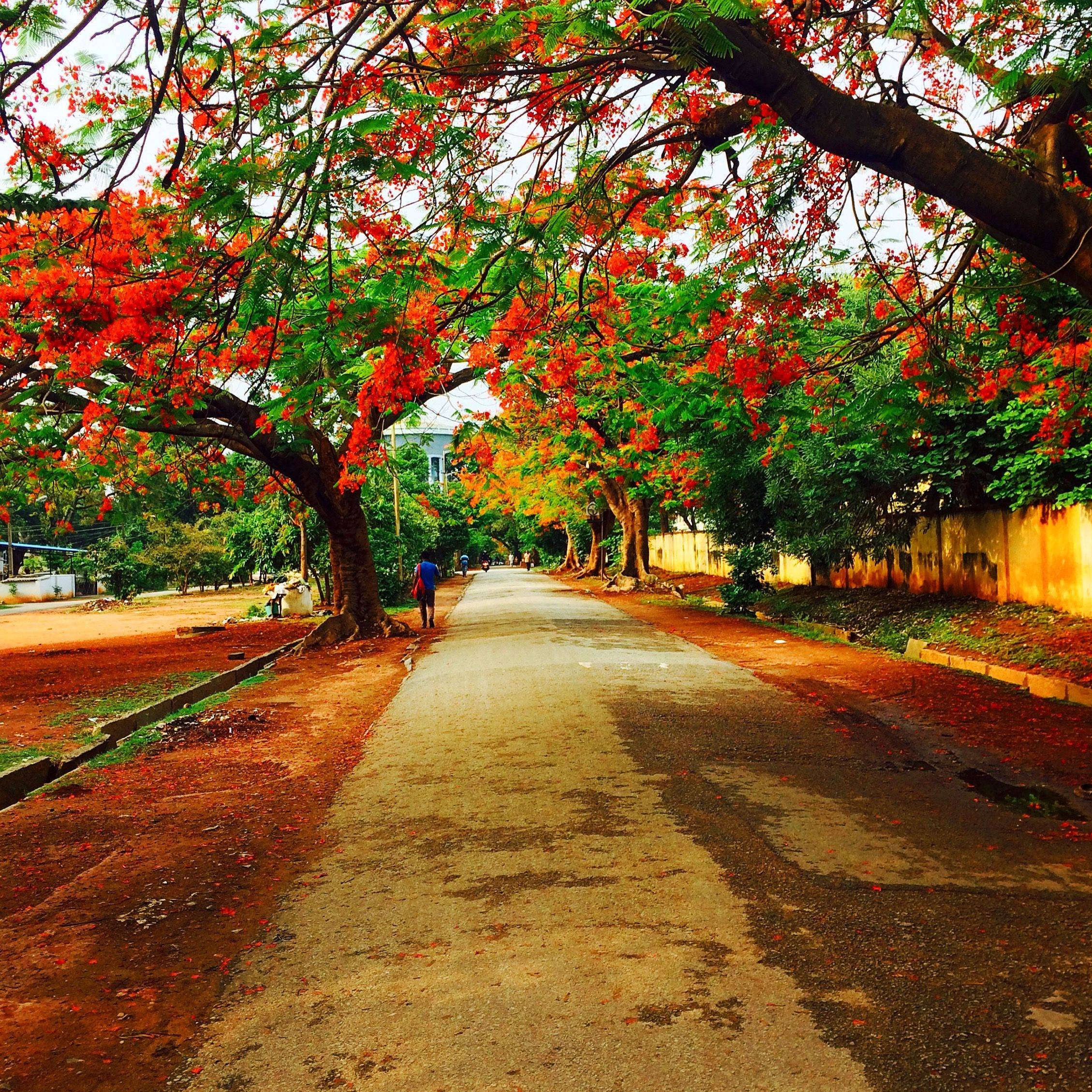 Reasons Bangalore