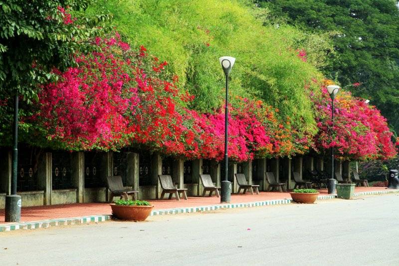 Brindavan Gardens