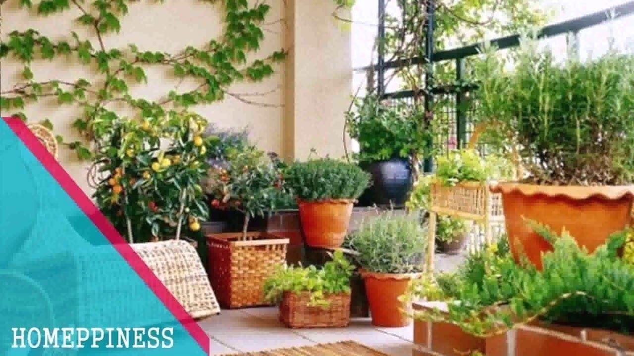 A Terrace Garden