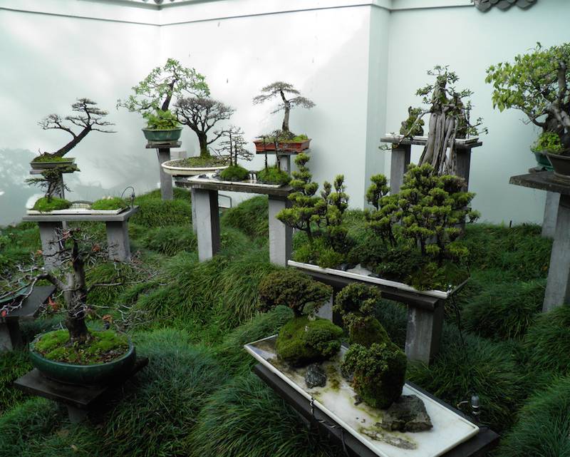 Fantastic Bonsai Garden Ideas