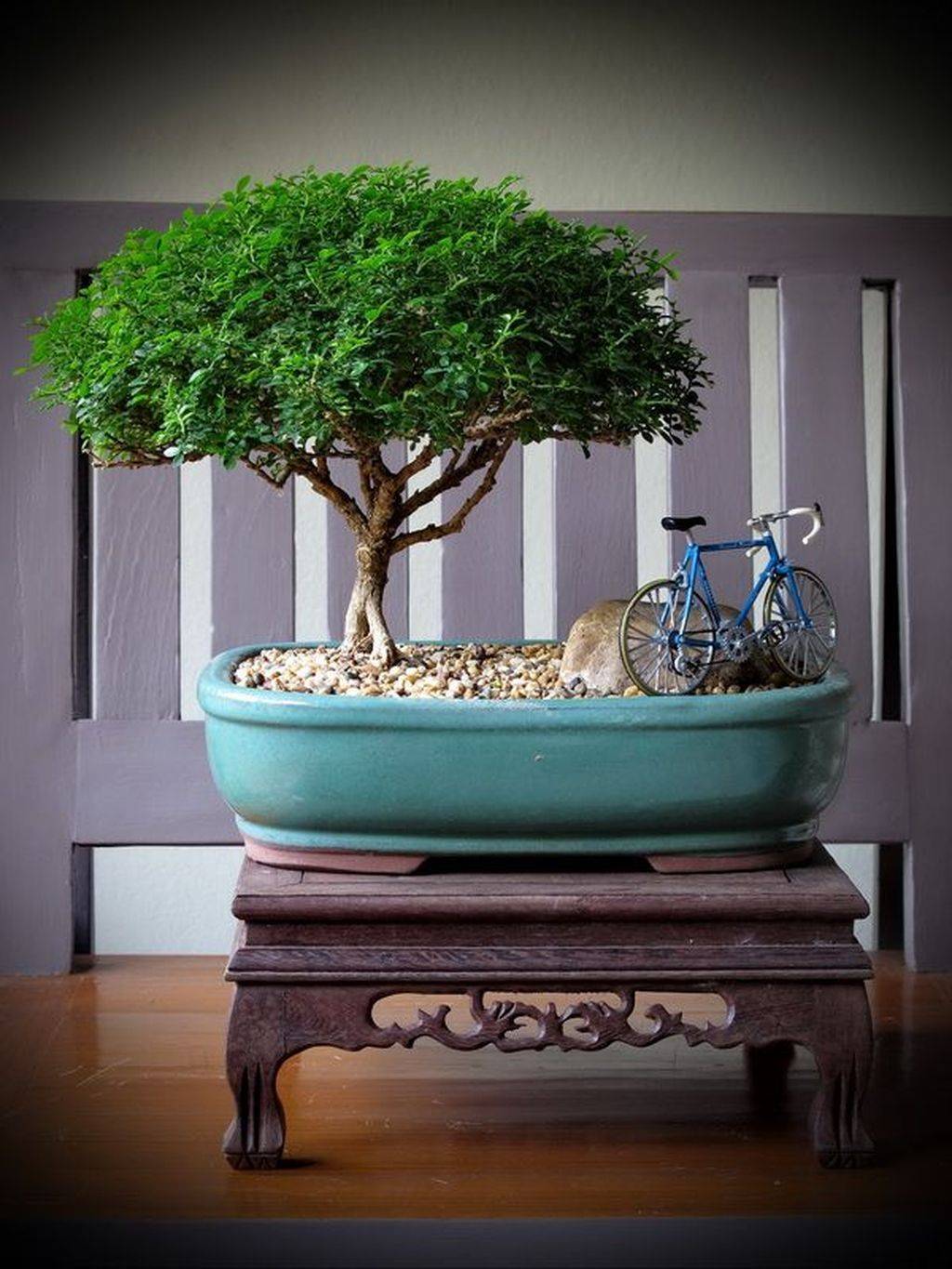 Cool Bonsai Garden Ideas Best