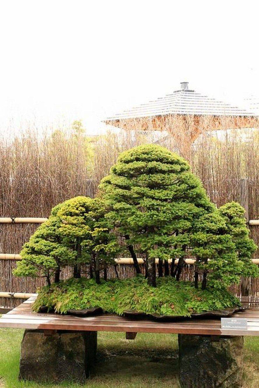 Outdoor Decor Trendehouse
