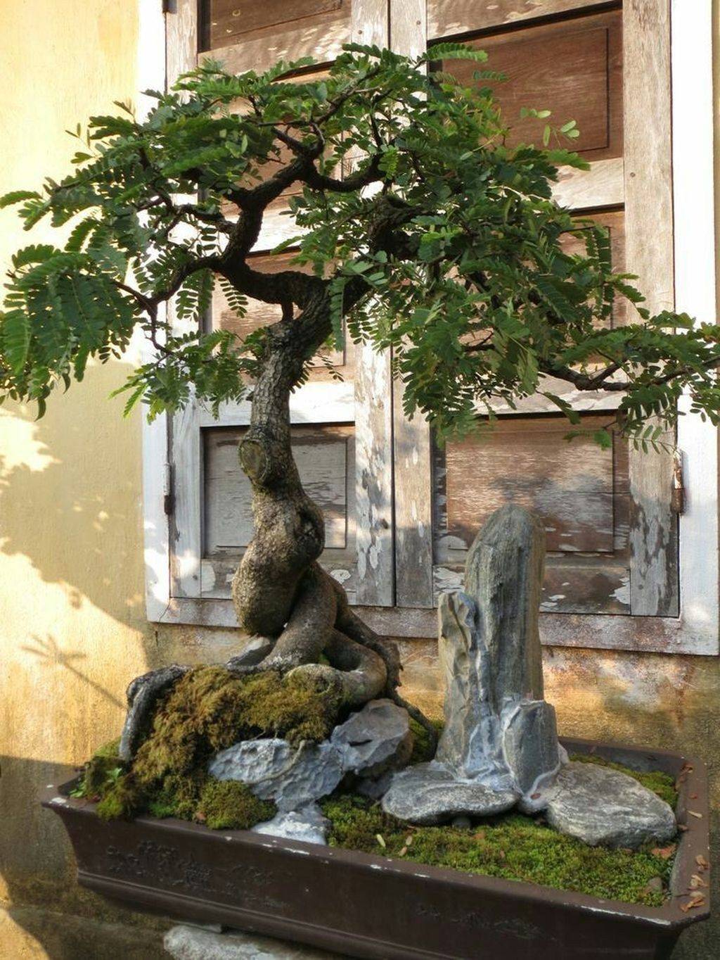 Japanese Garden Design