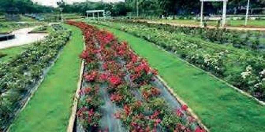 Botanical Gardenhyderabad Mallikarjun Flickr