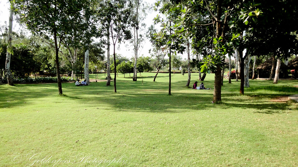 19 Botanical Garden Hyderabad Ideas You Gonna Love SharonSable