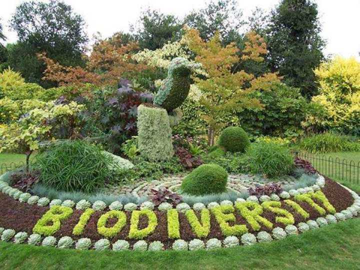 Hyderabad Botanical Gardens