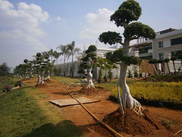 Hyderabad Botanical Gardens