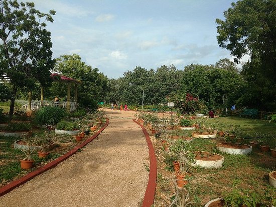 Botanical Gardens