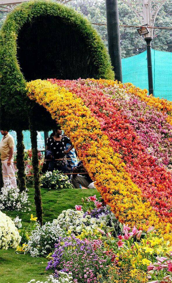 Bangalore Flower Show