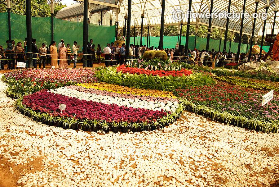 India Travel Pictures Lalbagh Flower Show