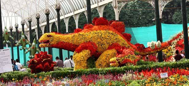 Lalbagh Bangalore Lalbagh Botanical Gardens Lalbagh Botanical Garden