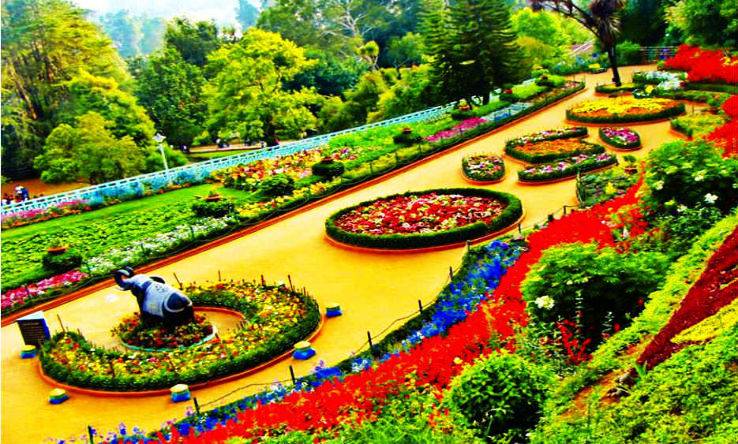 Kolkata Botanical Gardens