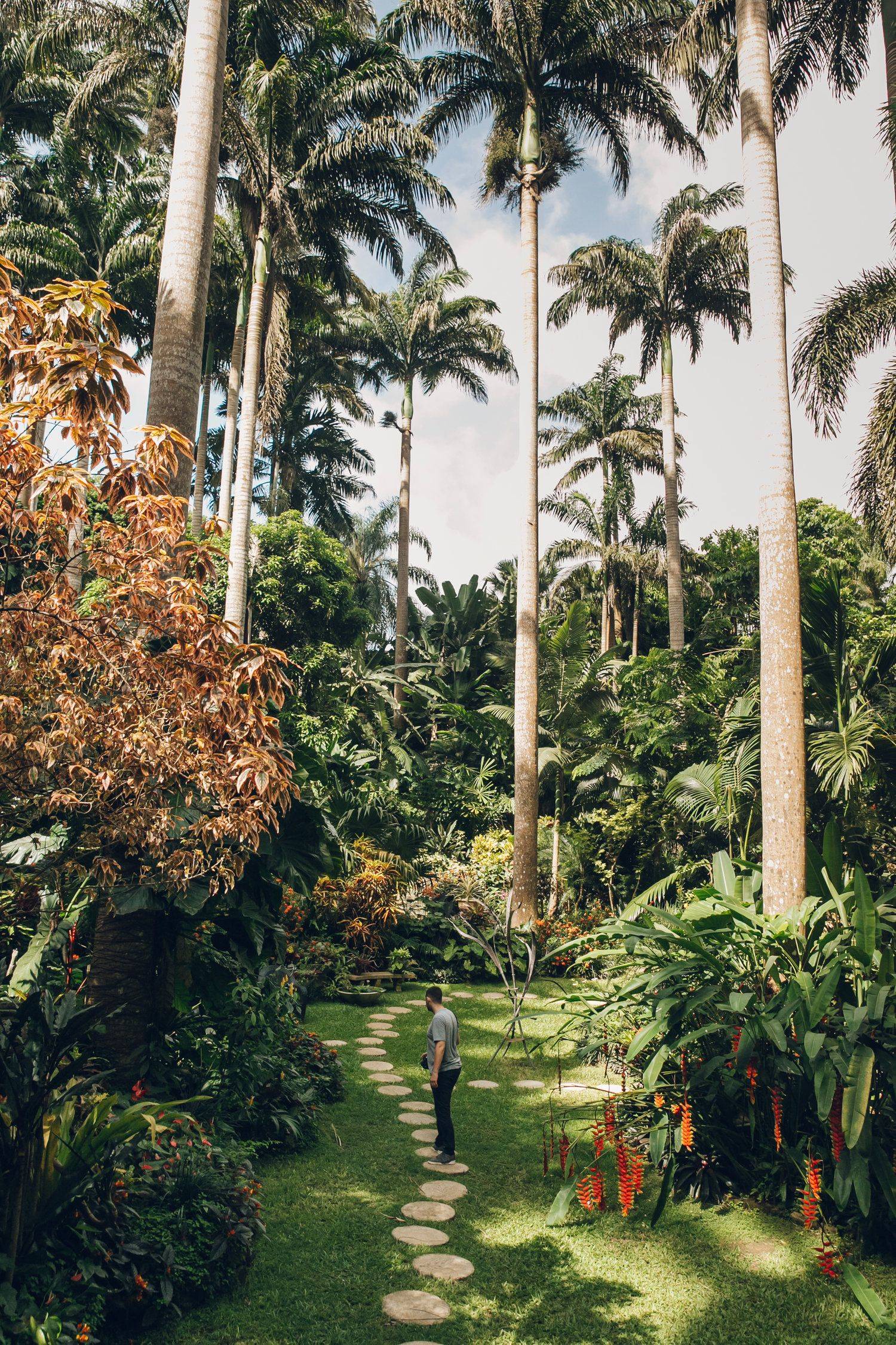 Botanical Garden Road