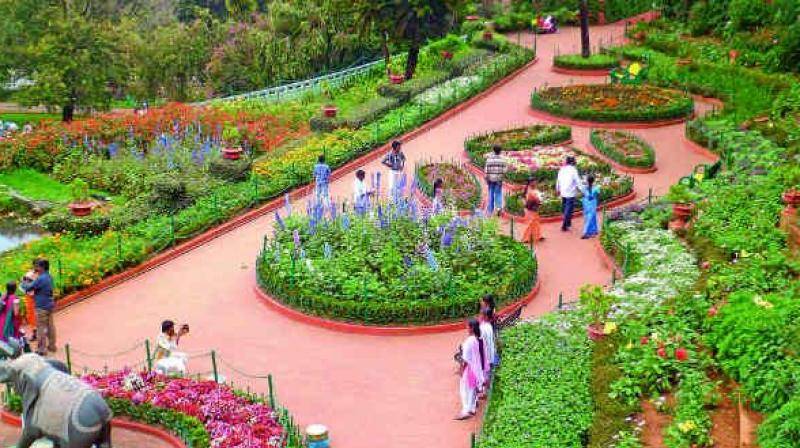 Jawaharlal Nehru Memorial Botanical Gardens