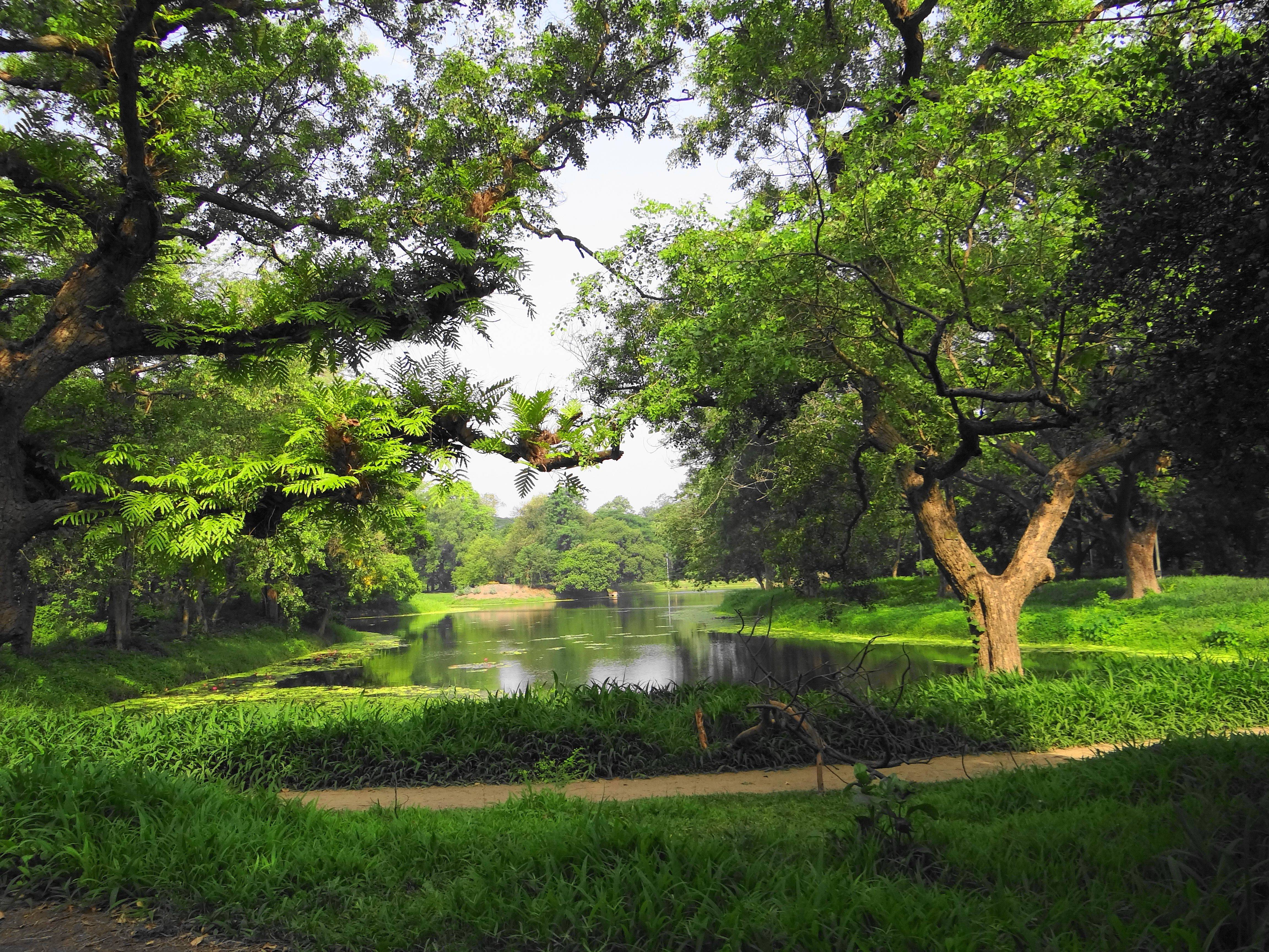 India Hello Travel Buzz