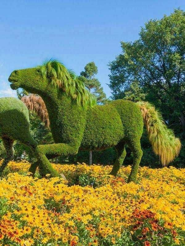 Republic Day Flower Show