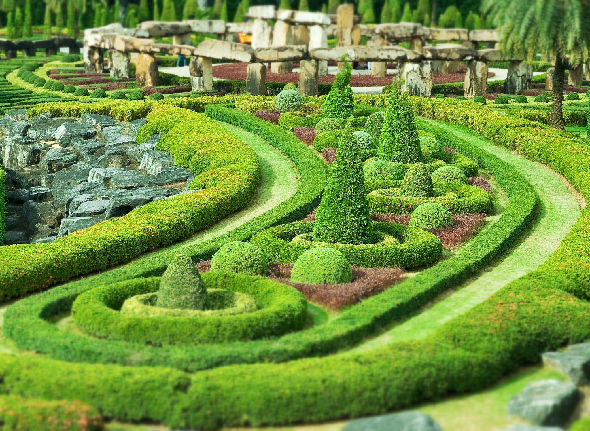 Republic Day Flower Show