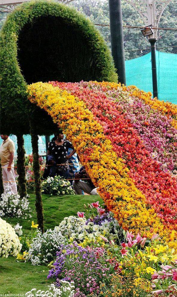 Royal Botanical Garden