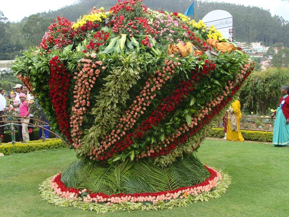 Kerala Botanical Gardens Garden Ftempo