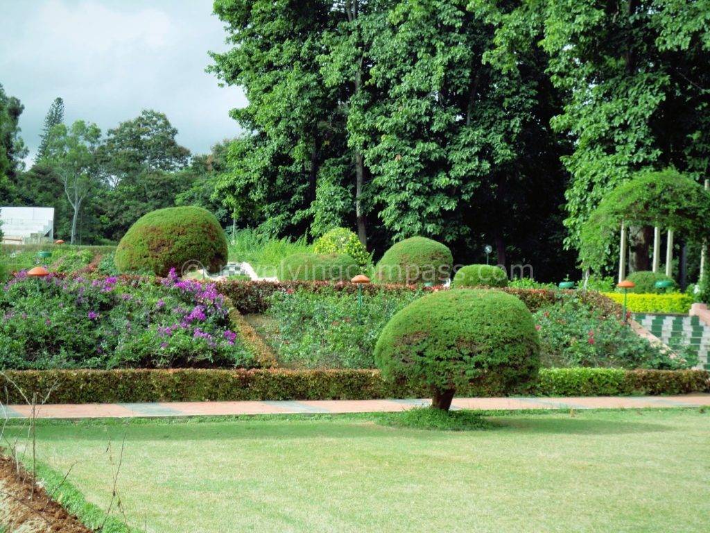 Gardening Tips