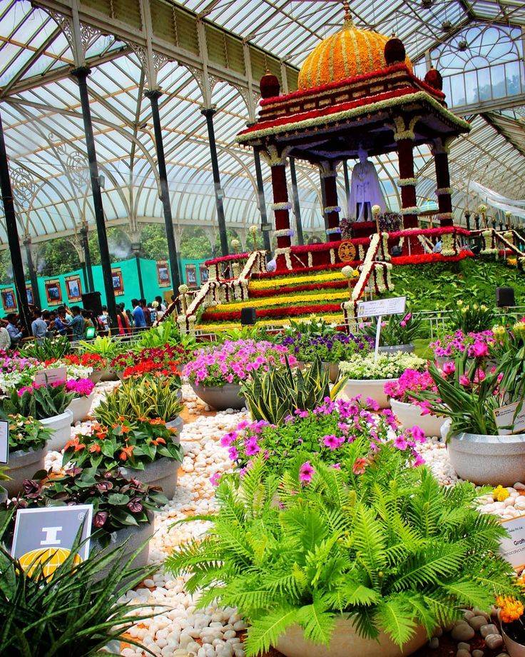 India Travel Pictures Lalbagh Flower Show